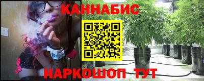 спиды Обь