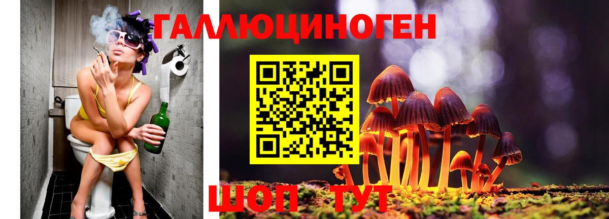 Псилоцибиновые грибы мицелий Рузаевка